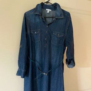 Maternity Denim Shirt Dress
